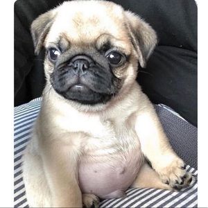 Meet your Posher, Kristina